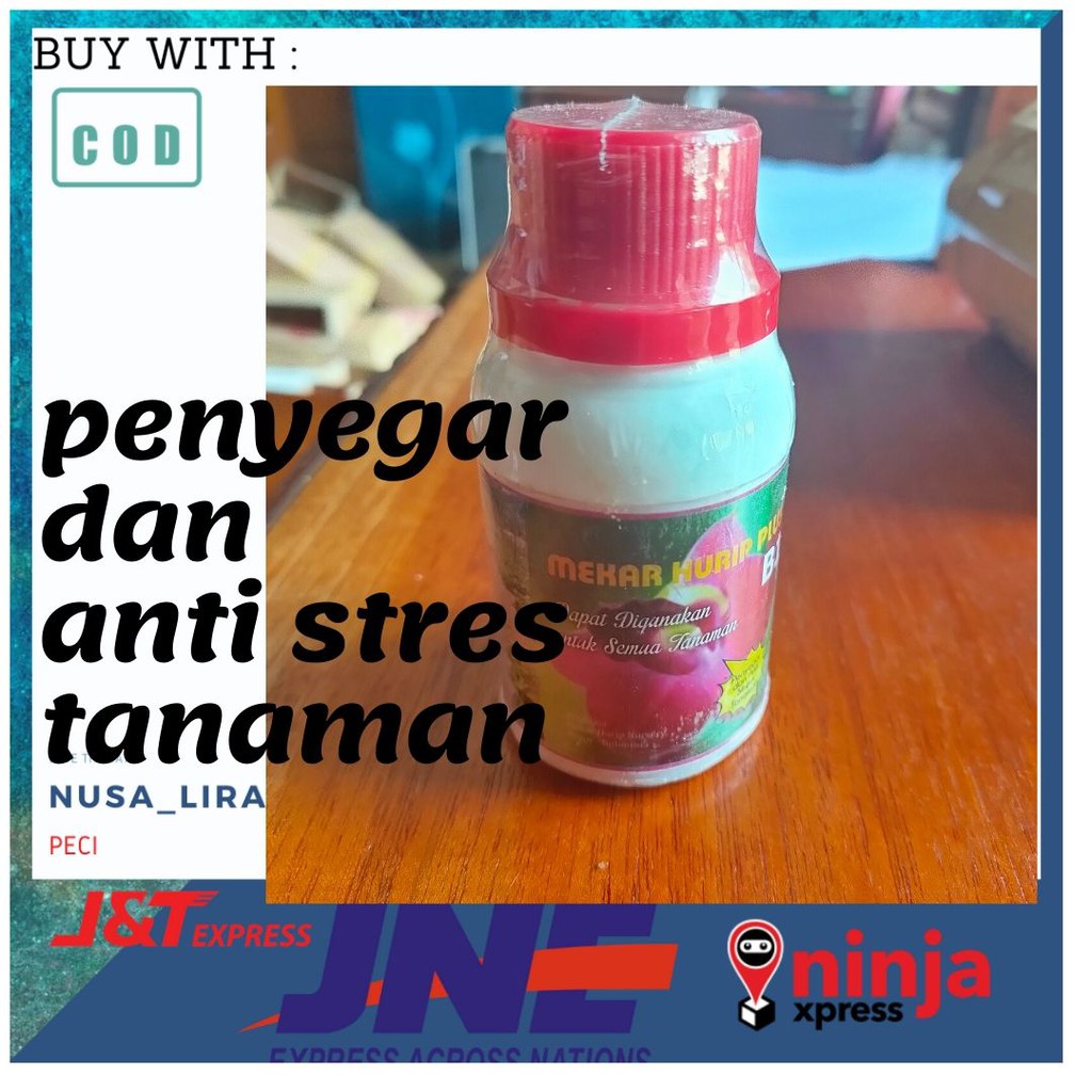 B1 Penyegar tanaman yang baru datang perangsang akar