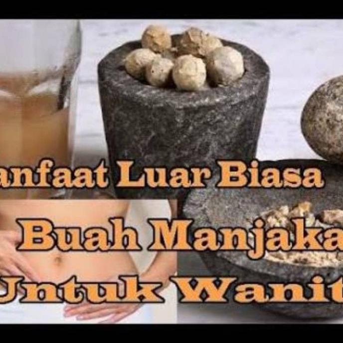 

Buah Manjakani Alami/Biji Majakani/Dherb Pure Tepung 100 Gr Premium