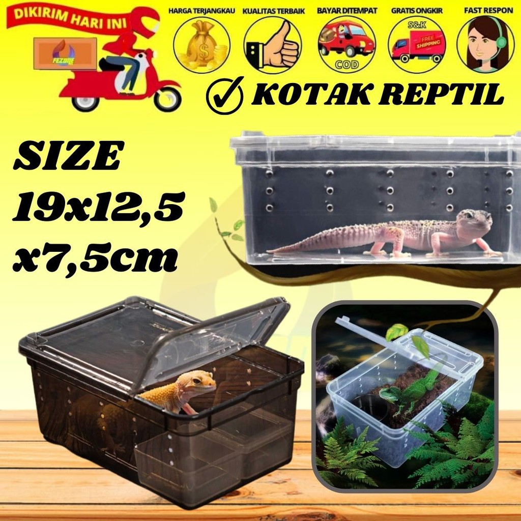 Flash Sale Kotak Plastik Reptil/serangga Bahan Abs Fezone 7WRgbLDTq8eN61