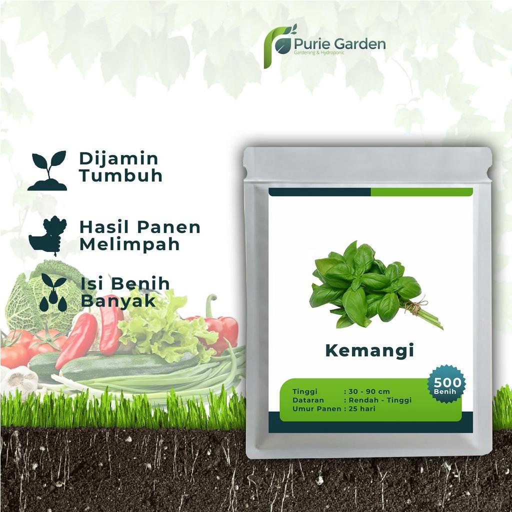 Benih Bibit Biji Unggul Kemangi 500 Benih PG SBY