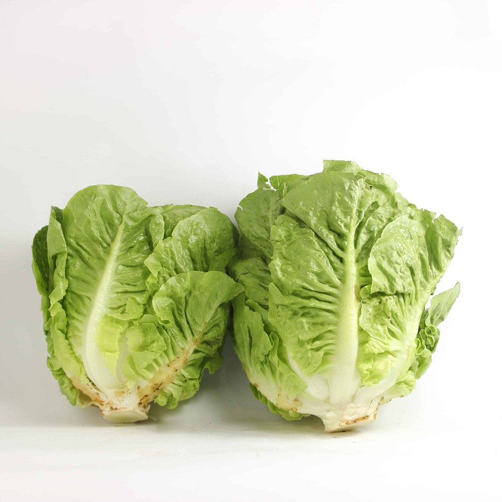 

Romaine