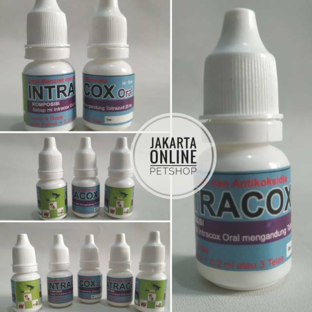 [JOP] Intracox Oral Toltrazuril kemasan 10ml Obat Mencret