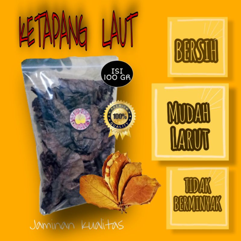 DAUN KETAPANG LAUT OLAHAN (SUPER) REEPACK 100 GRAM