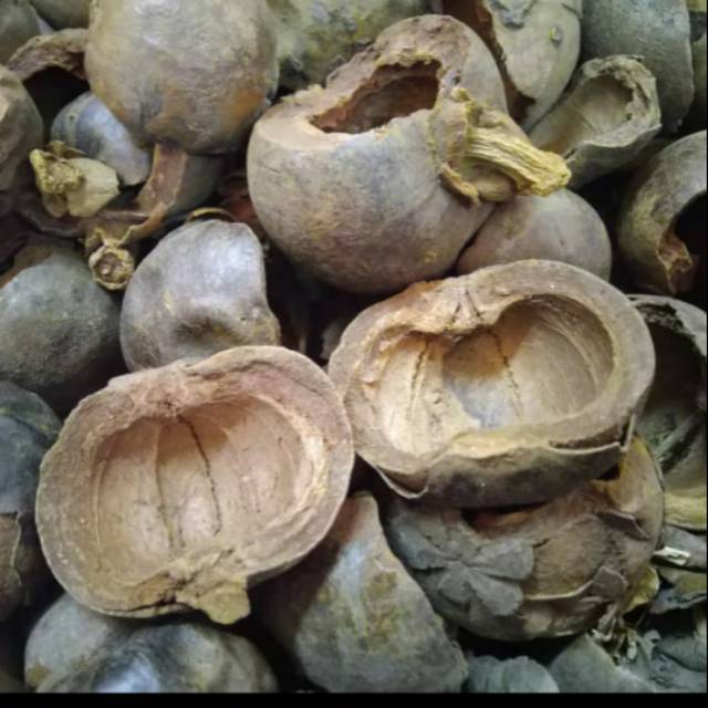 

Kulit Manggis Kering Asli 500gr Rempah Herbal