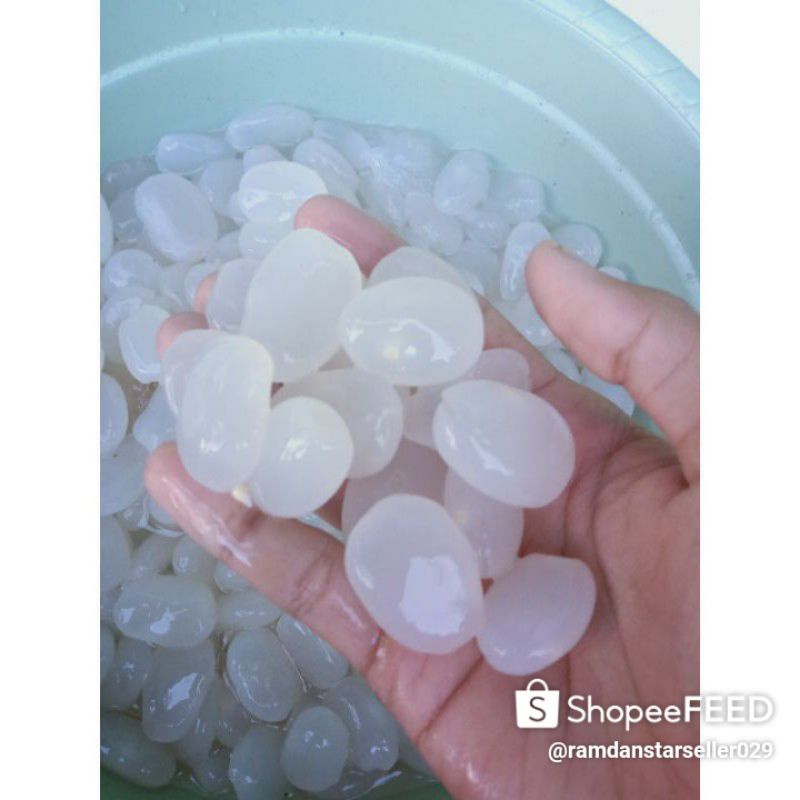 

buah kolang Kaling udah di proses 1 kg