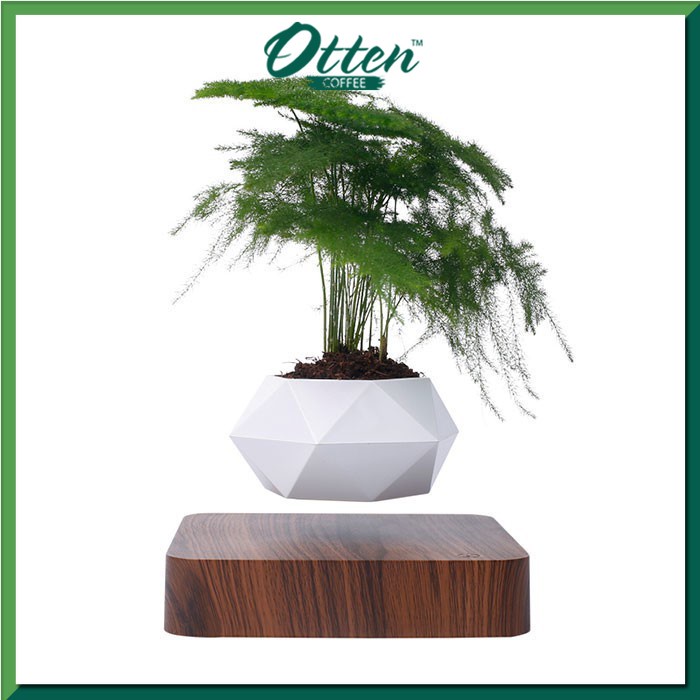 Otten Coffee - Magnetic Levitation Plant (1)-0