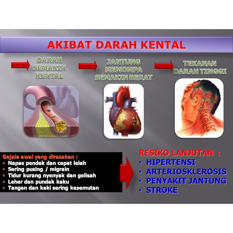 Obat Herbal Pengencer Darah Obat Sarmucare Sarang Semut Isi 100 Kapsul Shopee Indonesia