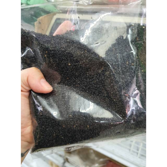 

Selasih 250gr