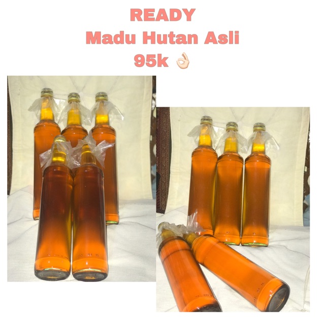 

Madu hutan adli