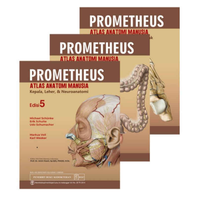 Prometheus Atlas Anatomi Manusia Edisi 5 (Set 3 Buku)