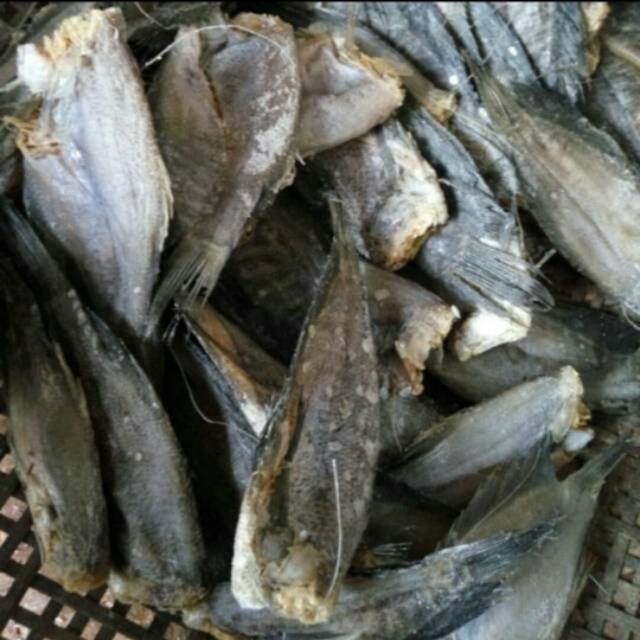 

Sepat besar dan sedang 250gr
