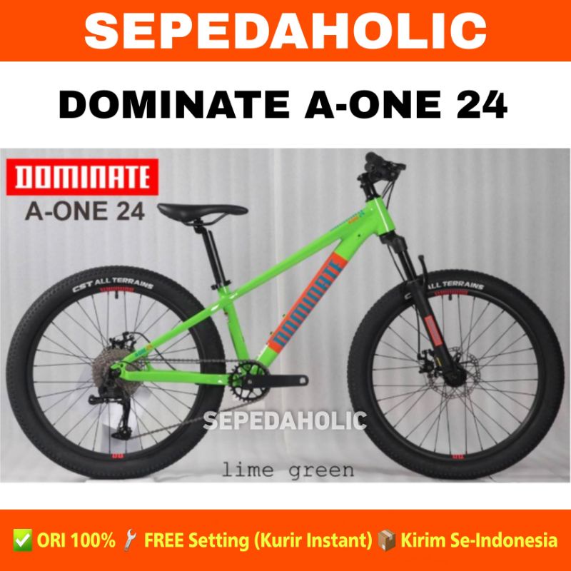 Sepeda Gunung MTB DOMINATE A ONE 24 Inch Alloy 10 Speed Rem Cakram