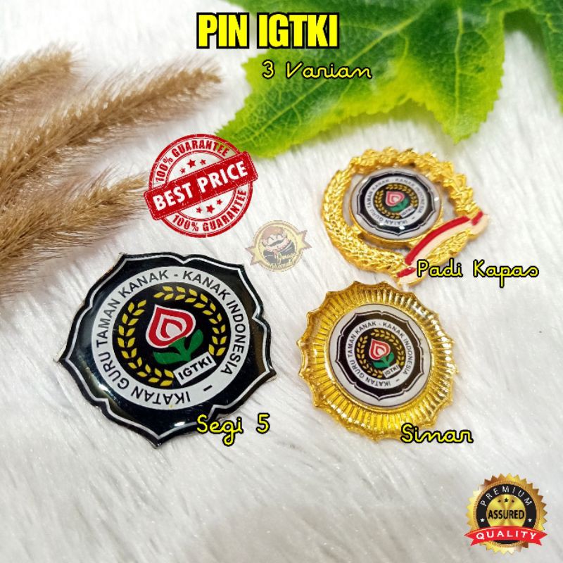 PIN IGTKI - IKATAN GURU TAMAN KANAK-KANAK INDONESIA