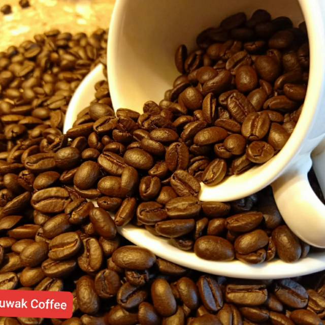 

Kopi Lampung Robusta