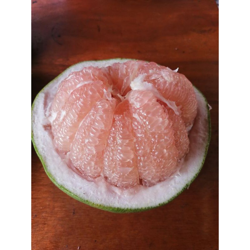 

Jeruk Bali Merah (Red Pamelo Lokal)