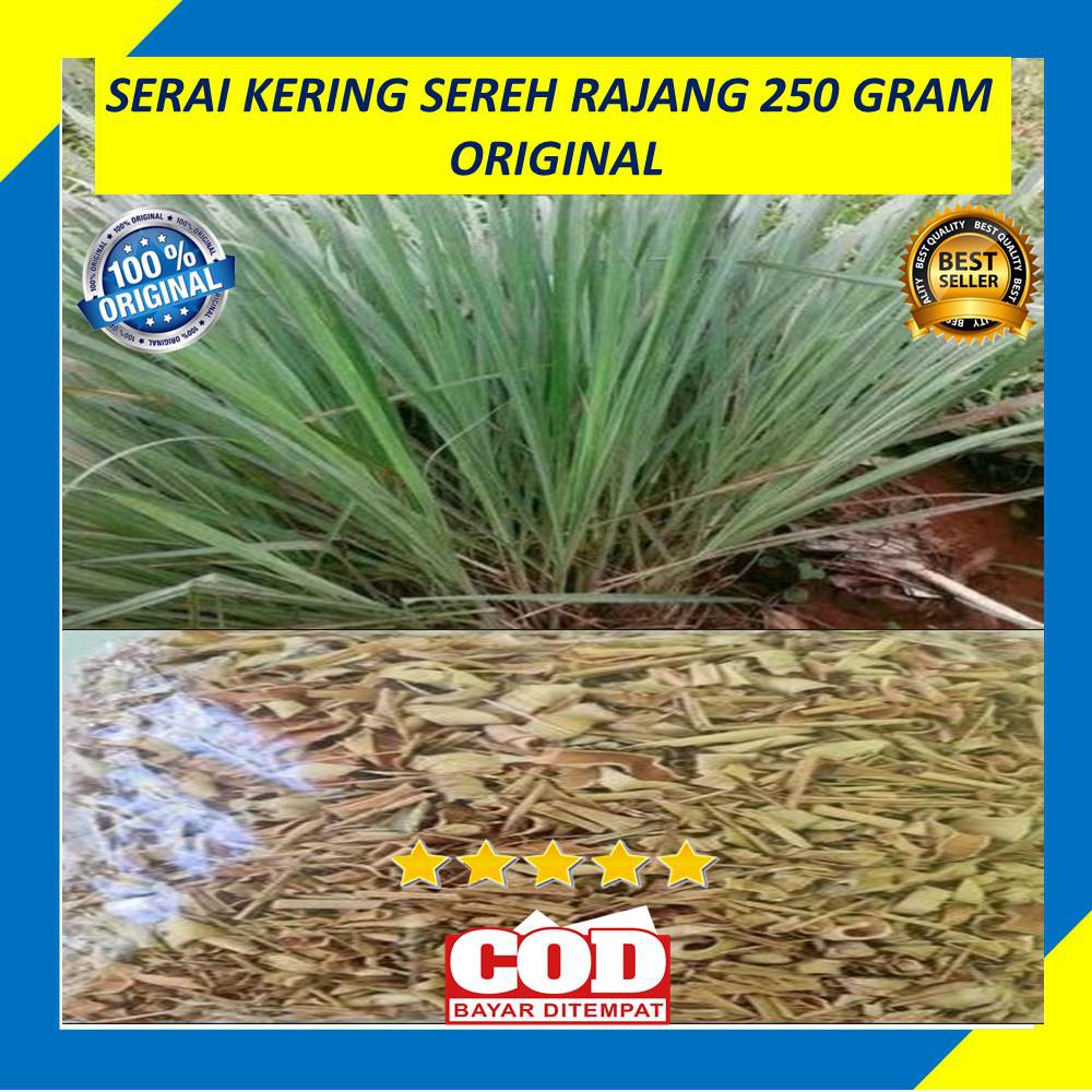 

Serai Kering Sereh Rajang 250 Gram