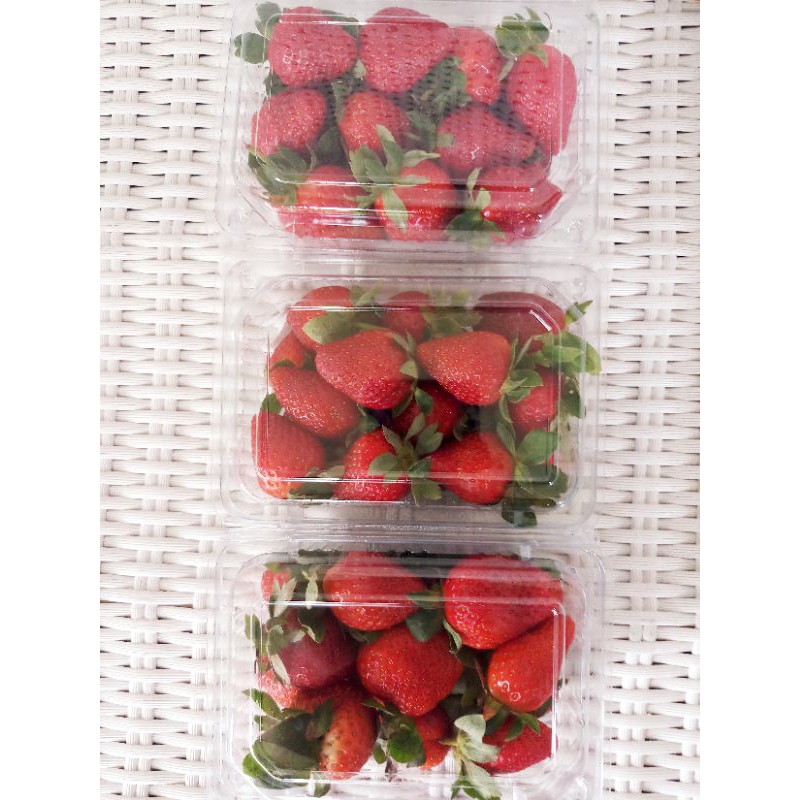 

Strawberry Segar 250 gr /Fresh Strawberry