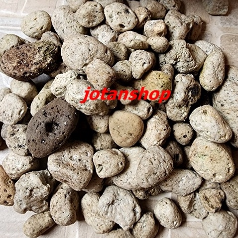 BATU APUNG AQUASCAPE PUMICE PUMIS STONE MEDIA FILTER RUMAH BAKTERI AQUARIUM