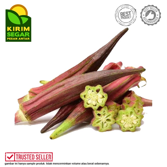 

Okra Merah / Sayur Okra / Okra Merah Segar/Pack