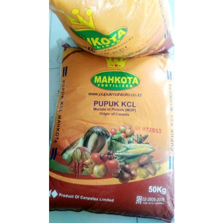 KCL MAHKOTA (100gram)