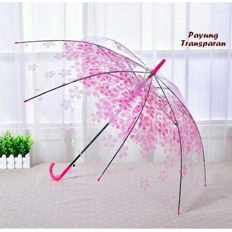 Payung Tongkat Transparant Motif Bunga Sakura