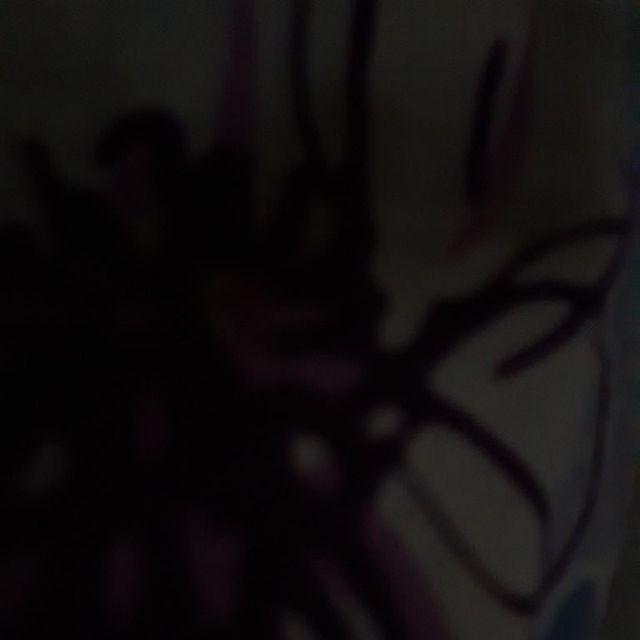 @25pcs Alumunium Foil Tray Ox-6005 / Aluminium Ox 6005