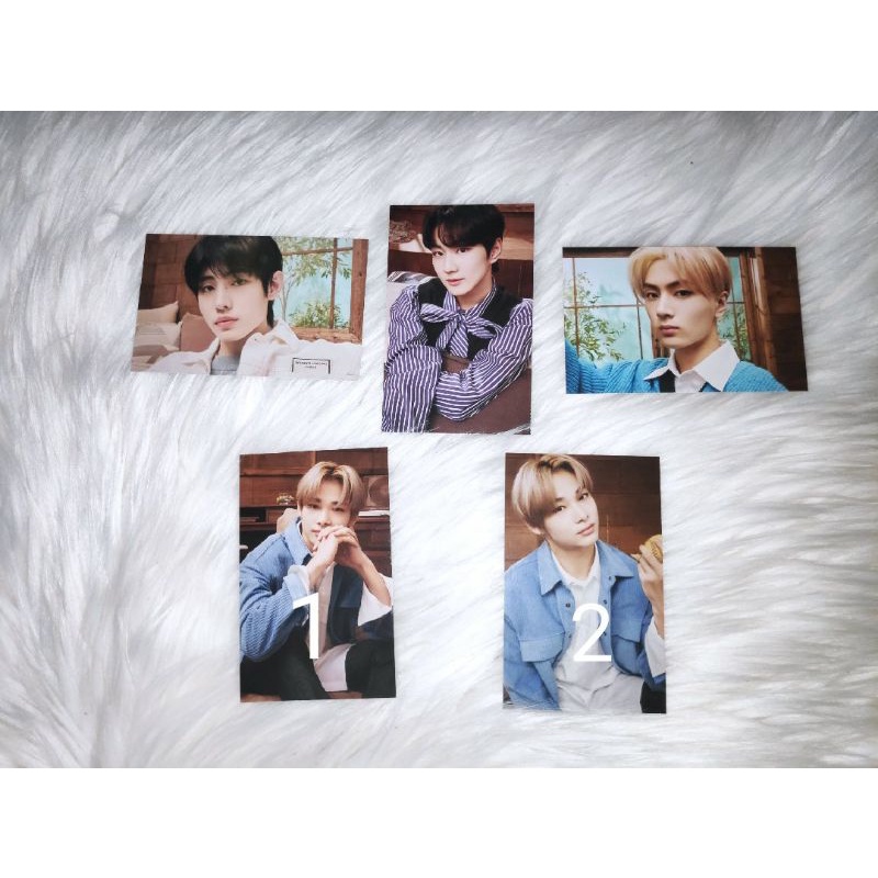 TC TRADING CARD ENHYPEN SUNGHOON JUNGWON JAY NIKI