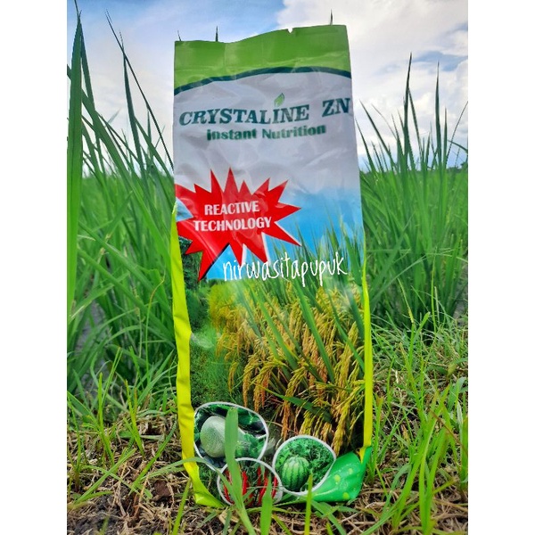 Pupuk Zn Zinc Crystaline Zn Crystalin Zn Anti Asem-aseman Tanaman