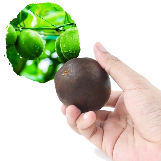 

Lo Han Kuo ( Monk Fruit )