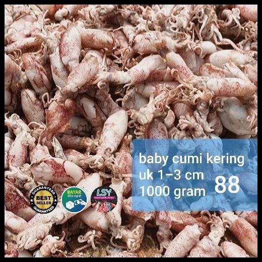 

Ikan Asin Baby Cumi / Cumi Rebus Kering 88% 1Kg