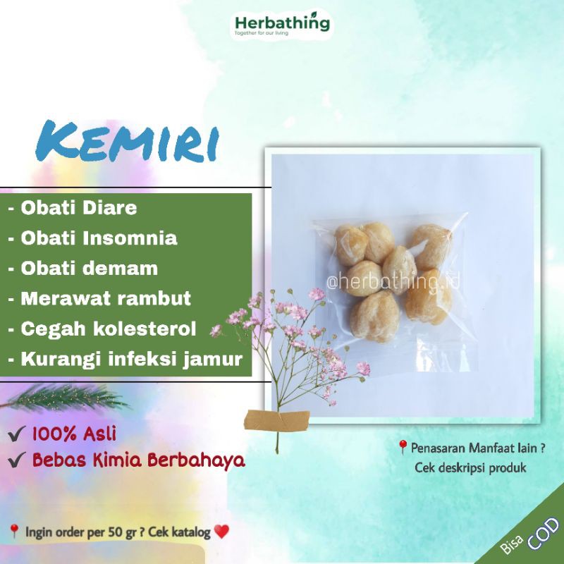 

Kemiri Asli | Kemiri Untuh | Kemiri Putih