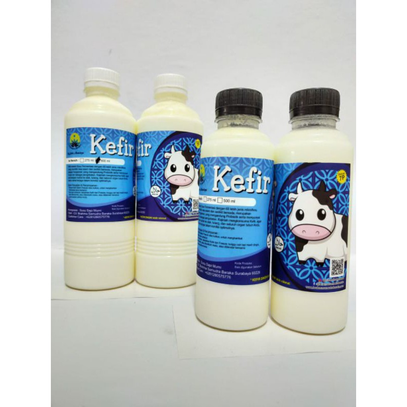 

Kefir Susu Kefir Yogurt Bibit Kefir Susu Probiotik SURABAYA
