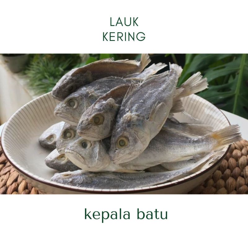 

ikan asin kepala batu 100gr