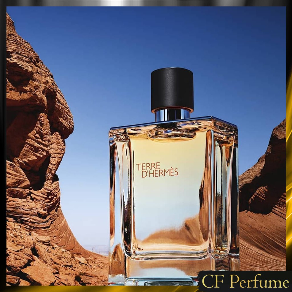 terre perfume