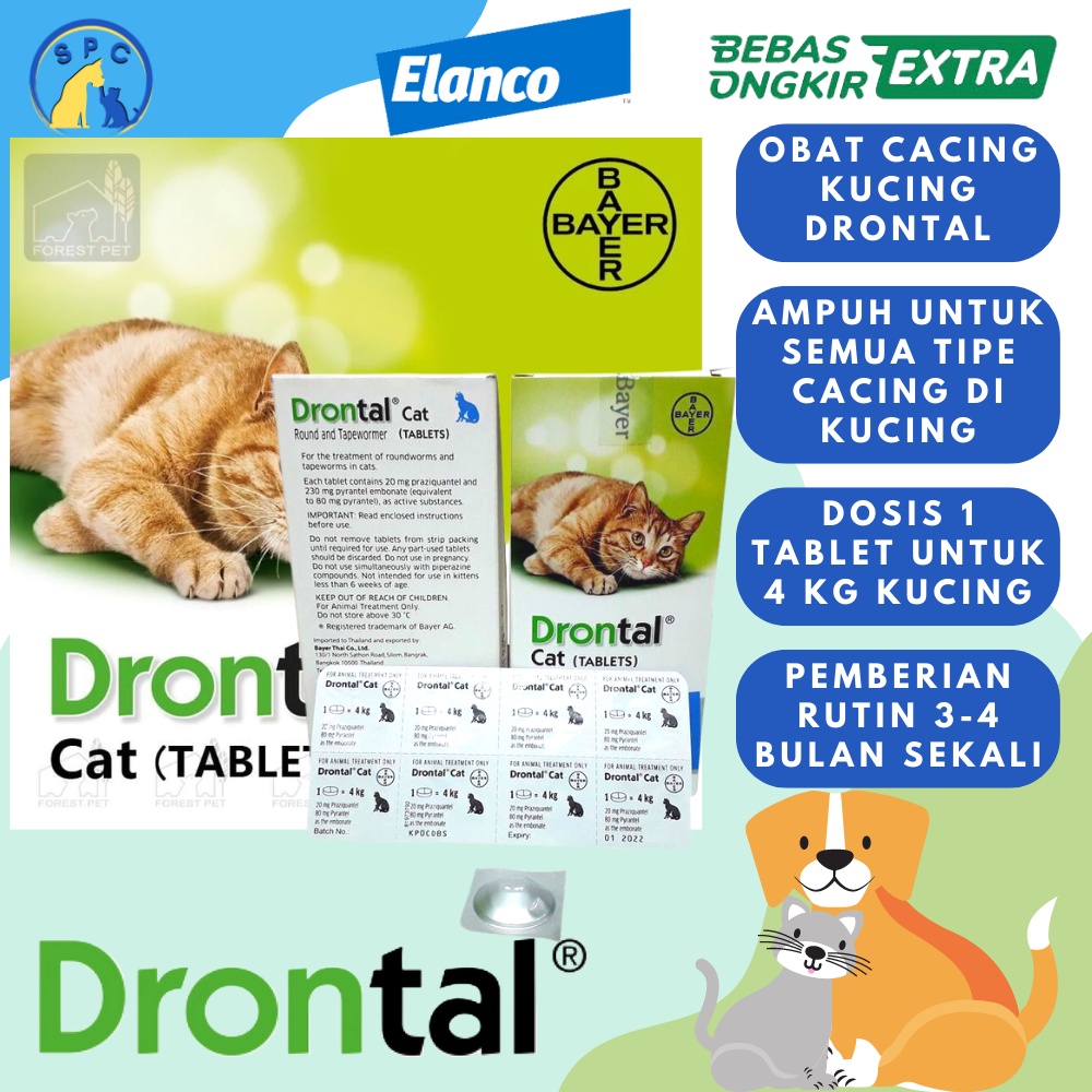 Drontal Cat Obat Cacing Kucing 1 Tablet