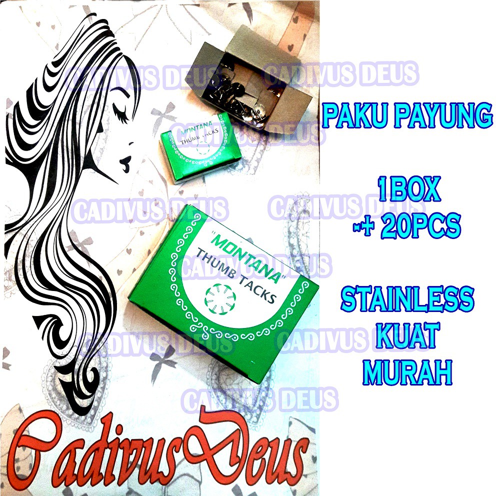 PAKU PAYUNG - BOX KECIL - STAINLESS