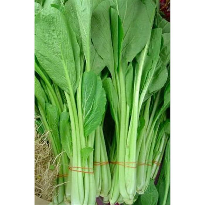 Jual Sawi Hijau Sayur Segar Caisim Shopee Indonesia