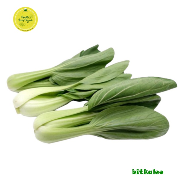 

Baby Pakchoy Organik 200 gr (PO)