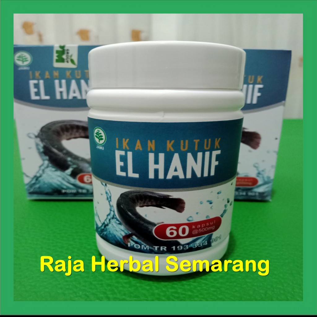 Kapsul Ikan Kutuk Ekstrak Albumin Ikan Gabus El Hanif 60 Kapsul, Obat Pasca Operasi dan Luka