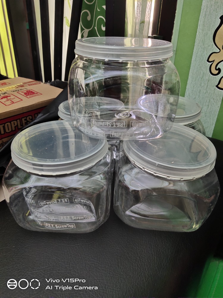 Stoples Jaguar (satuan)