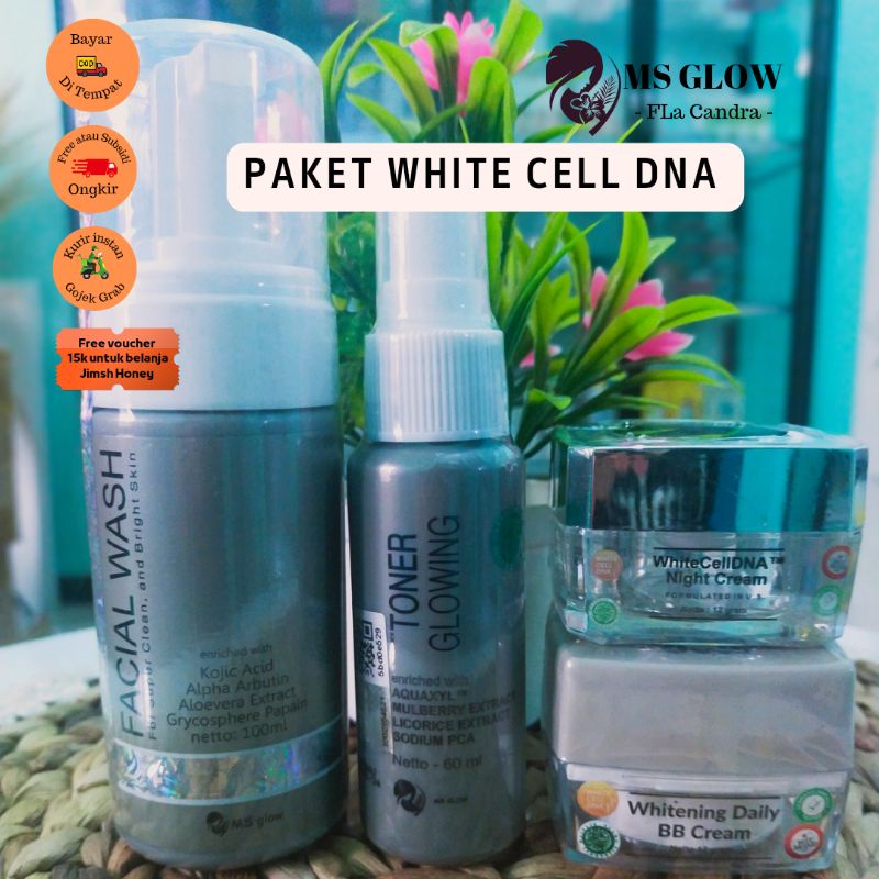 Paket white cell dna MS GLOW