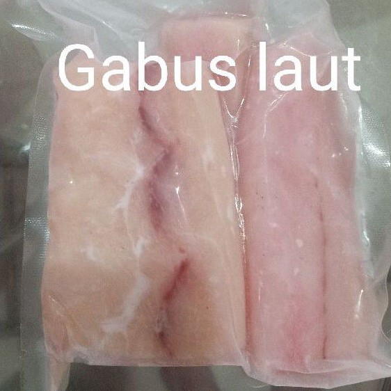 

ikan gabus laut fillet 1 kg FROZEN