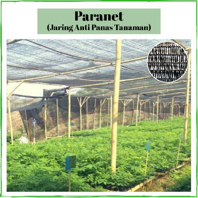 Paranet/ Jaring Anti Panas Untuk Tanaman