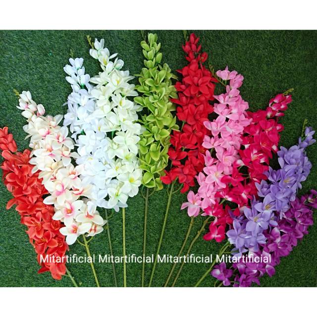 Anggrek cattleya Shopee Indonesia