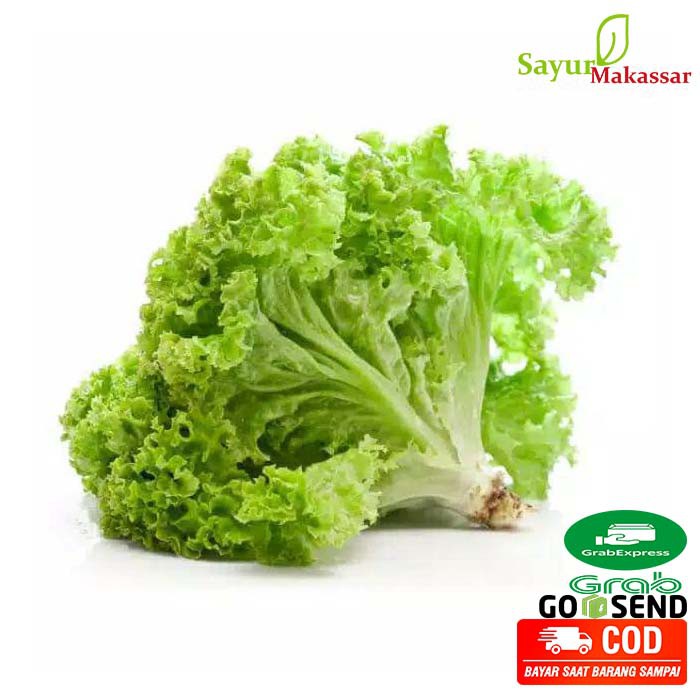 

Selada Air 500 gram / Sayuran Online Makassar