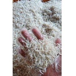 

teri/teri medan/ikan teri 500g