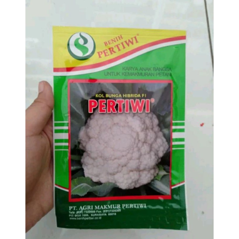 Benih Bunga Kol Hibrida F1 Pertiwi 10 Gr