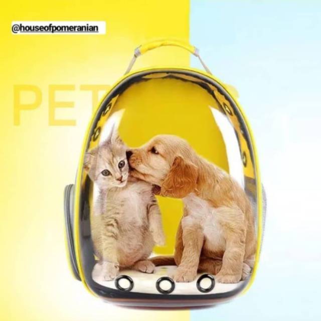 Pet carrier tas ransel jinjing anjing kucing dog cat kennel box travel portable tranparan0