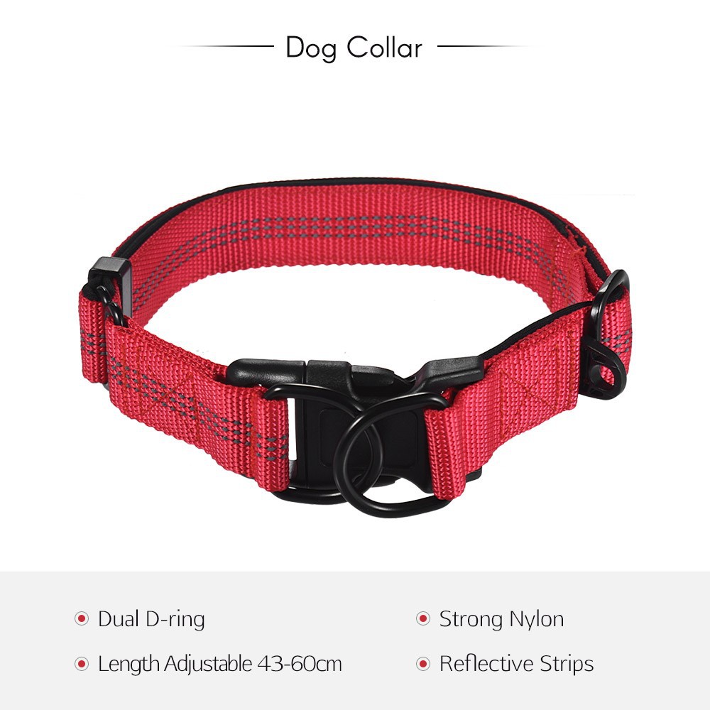 Strong Durable Dog Collar Dual D-ring 