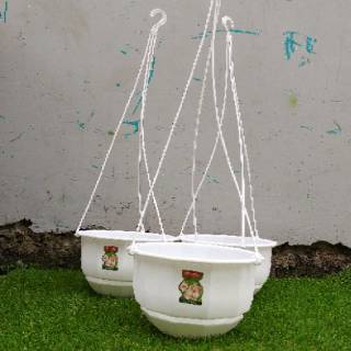  Pot  bunga gantung  gardenia no 06 lionstar 19cm warna  putih  